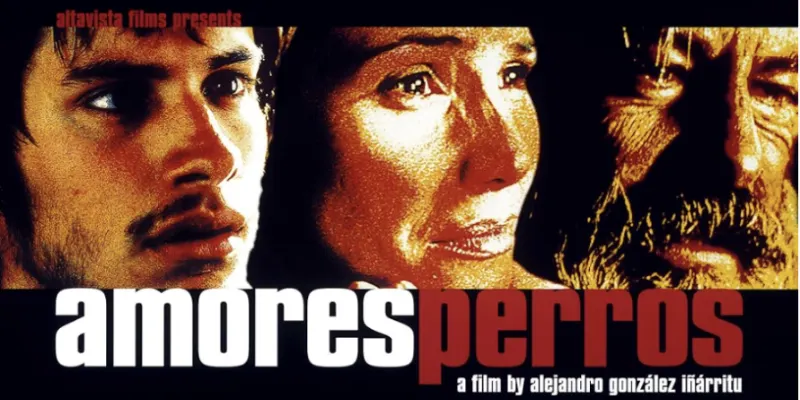 Affiche du film Amores Perros